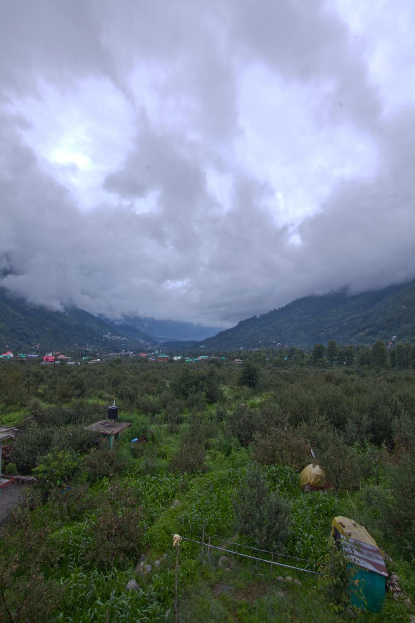 Kalista Resort Manali  Room photo